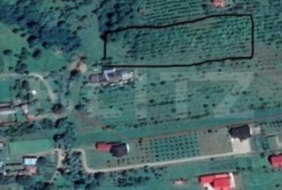 Teren de 4300 mp, în Central