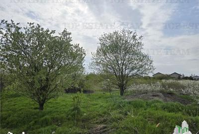 Teren de 2325 mp, în Joița - 6