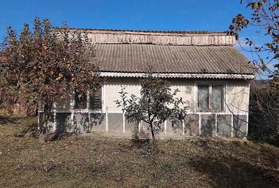 Casă cu Teren 2650 Mp în Central