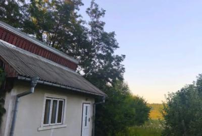 Casă cu 2 camere cu Teren 3500 Mp în Negostina - 1