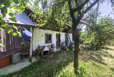 Casa , teren intravilan Urlueni Barla Arges - 11