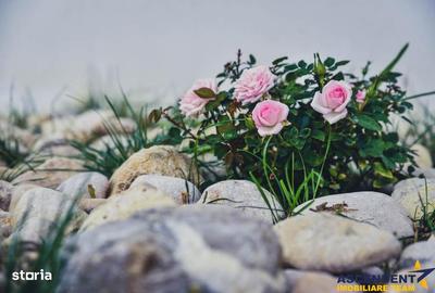 Spațiu comercial, de 500 mp, în Moieciu - 12