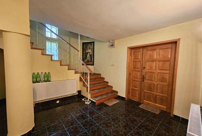 Vila in inima orasului Deva - 1