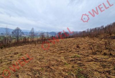 De vânzare teren extravilan în Vama Buzăului! - 3