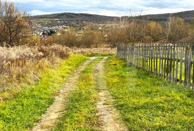Teren extravilan de vanzare, 2400 mp, zona Valea Ghinzii - 5