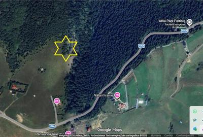 Teren agricol extravilan de 5000 mp, în Păltiniș - 8