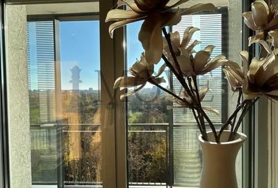 Apartament cochet cu 4 camere Asmita Gardens  -vedere catre Delta Vacaresti - 38