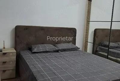 Apartament cu 2 camere semidecomandat în Exercițiu - 10