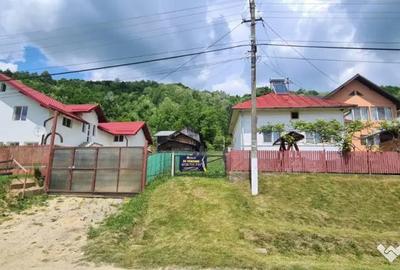 Teren de 7000 mp, în Ștubeie Tisa - 18