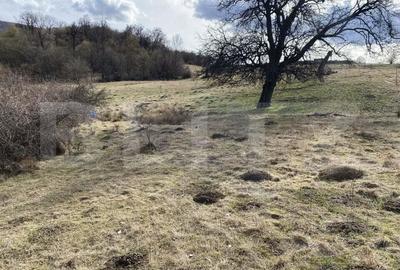 Teren extravilan in suprafata de 7500 mp la poalele Mesesului - 4