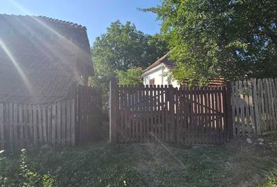 Casă cu 2 camere în Bârseștii de Sus - 7