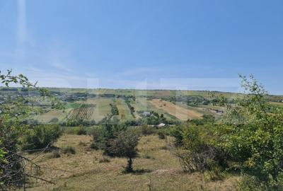 Teren extravilan 1,5 h pentru investitie - 2