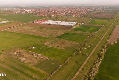 Spațiu comercial, în Sânleani - 4