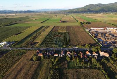 Teren INTRAVILAN 10,778mp Seini E 58 ideal/ activitati ec... - 1