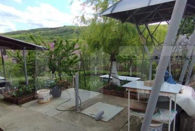 Casa+ casa vacanta, 2200 mp livada, Schitu-Duca - 2