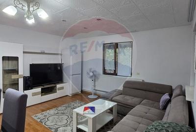 Casa cu mansarda in MISCA  jud Arad - 3