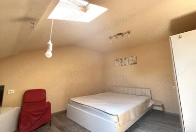 Pet Friendly Elisabetin Balcescu Maria Sinaia Medicina 2 Politehnica UVT - 1