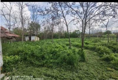 Casa cu teren de vanzare - 7