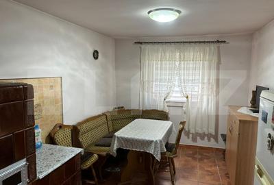 Casa spatioasa de vanzare in Rasinari, Sibiu - 4 camere, pivnita, demisol, curte - 9