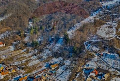 CASA 3 CAMERE SINCA NOUA / 5650 mp teren - 30