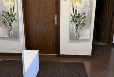 Inchiriez apartament langa parc, Valea Aurie - 5