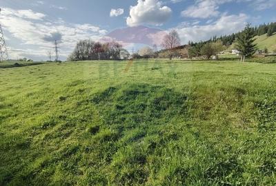 Teren Construcții intravilan de 2421 mp, în Periferie - 9