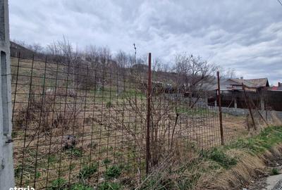 Teren de 584 mp, în Apahida - 5