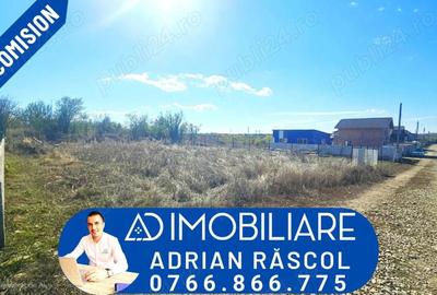 Teren de 402 mp, în Narciselor - 4