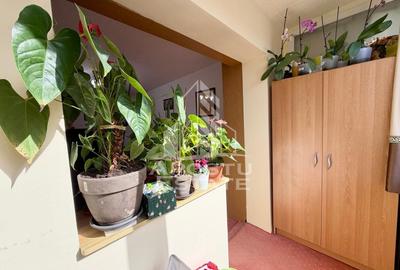 Apartament cu 3 camere decomandat, mobilat în Lipovei - 12