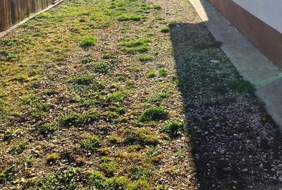 Casă cu 4 camere cu Teren 463 Mp în Central - 4