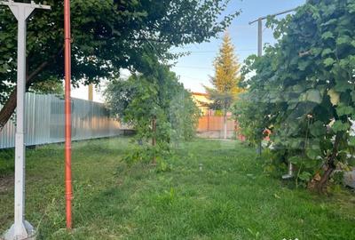 Casă cu 2 camere cu Teren 1414 Mp în Criș - 5