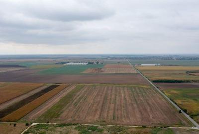 Teren extravilan 5 hectare ( zona industriala ) ?ag - 21