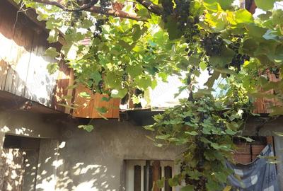 Casă cu 4 camere în Oituz - 7