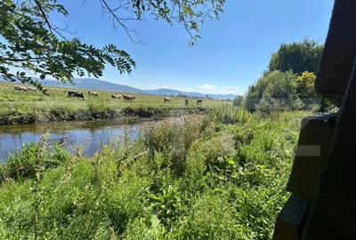 Teren ingradit si casa la rosu - 9