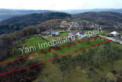 Teren de vanzare in comuna Valea Iasului, sat Cerbureni, jude? Arge?. - 1