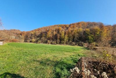Spațiu comercial, în Boholt - 1
