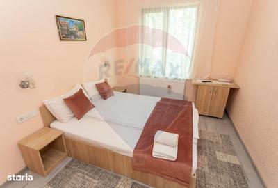 Spațiu comercial, de 270 mp, în Satu Nou de Jos - 9