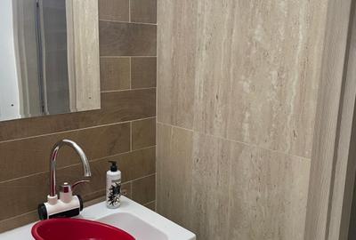 SPATIU DE INCHIRIAT TIMURI NOI-TINERETULUI - 18