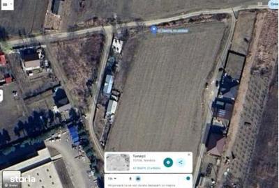 Teren de 1000 mp, în Tomești - 4