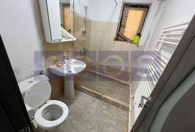 VANZARE STUDIO DUBLU 50MP DEMISOL BANU MANTA VICTORIEI CENTRALA PROPRIE - 7