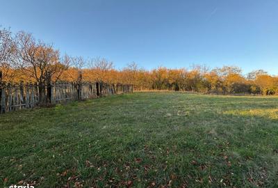 Teren de 3323 mp, în Ineu - 7