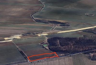 Teren de 9380 mp, în Cerbu - 1