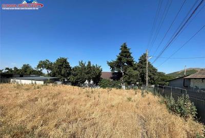 Casa de in localitatea Niculitel-judet Tulcea - 5