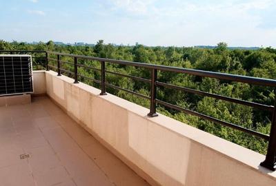 3 bedrooms apartment for sale | Free View | Baneasa Forest - 9