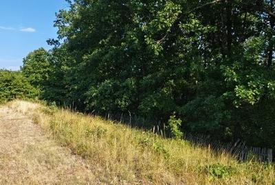 Spațiu comercial, în Central - 3