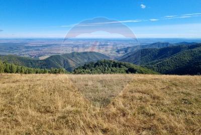 Teren agricol extravilan de 5609 mp, în Gura Râului - 3