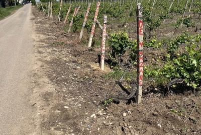 Spațiu comercial, în Odobești - 1