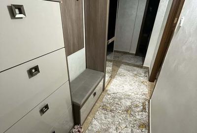 Apartament cu 2 camere decomandat în Paltin - 2