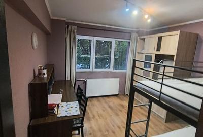 Apartament cu 3 camere decomandat, mobilat în Giurgiului - 4