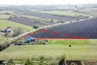 Teren de 5000 mp in Satu Mare | Oportunitatea Perfecta pentru Casa Visurilor Tale | Proiect Imobilia - 4